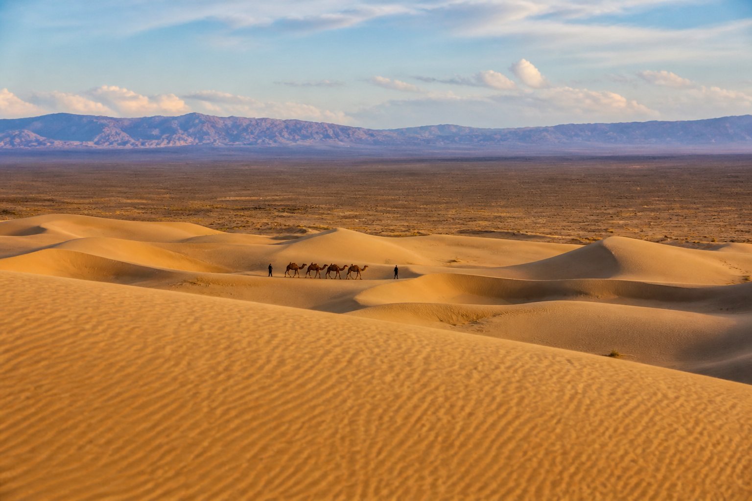 Gobi Desert in Mongolia with Khongor sand dunes and Bactrian camels