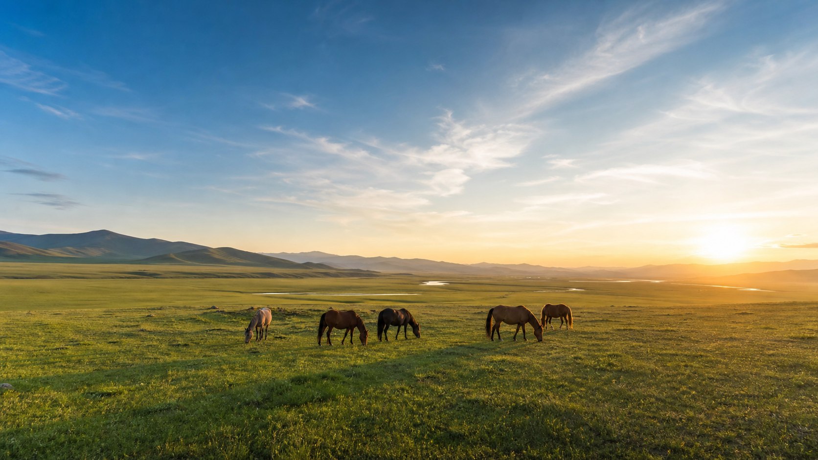 Voyage en Mongolie dans la steppe au lever du soleil avec chevaux